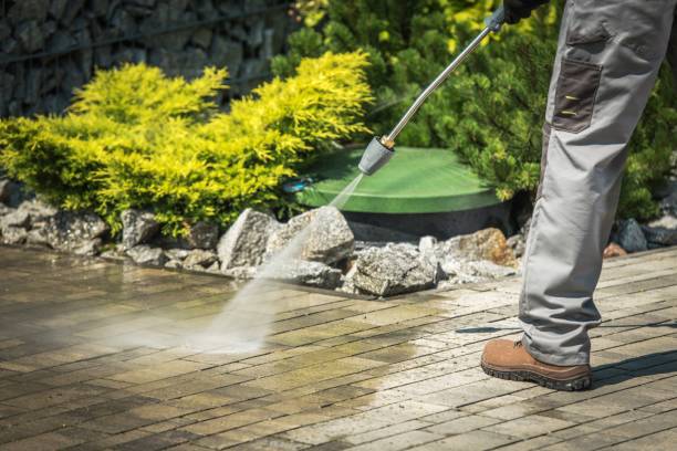 Best House Exterior Washing  in Chester Gap, VA