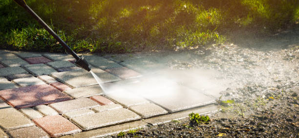 Best House Exterior Washing  in Chester Gap, VA