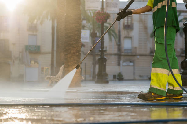 Best Roof Washing  in Chester Gap, VA
